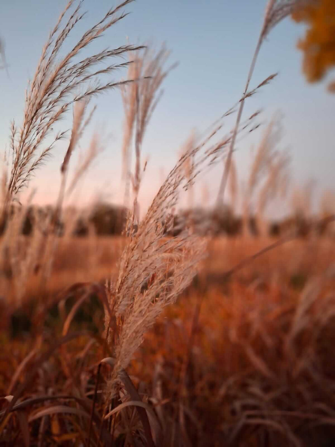 Loslassen  Was uns der Herbst darüber lehrt